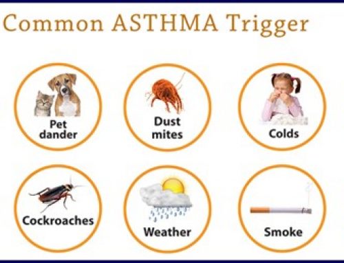 Asthma : Causative factors
